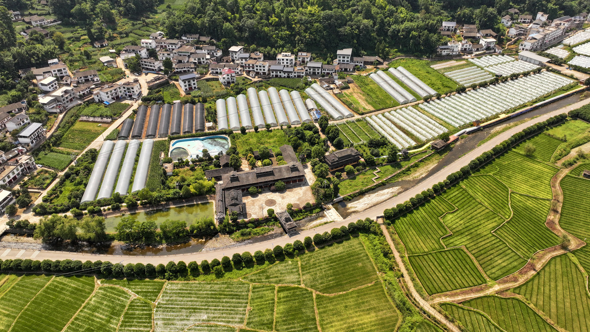 通过农业品牌建设实现一二三产融合发展