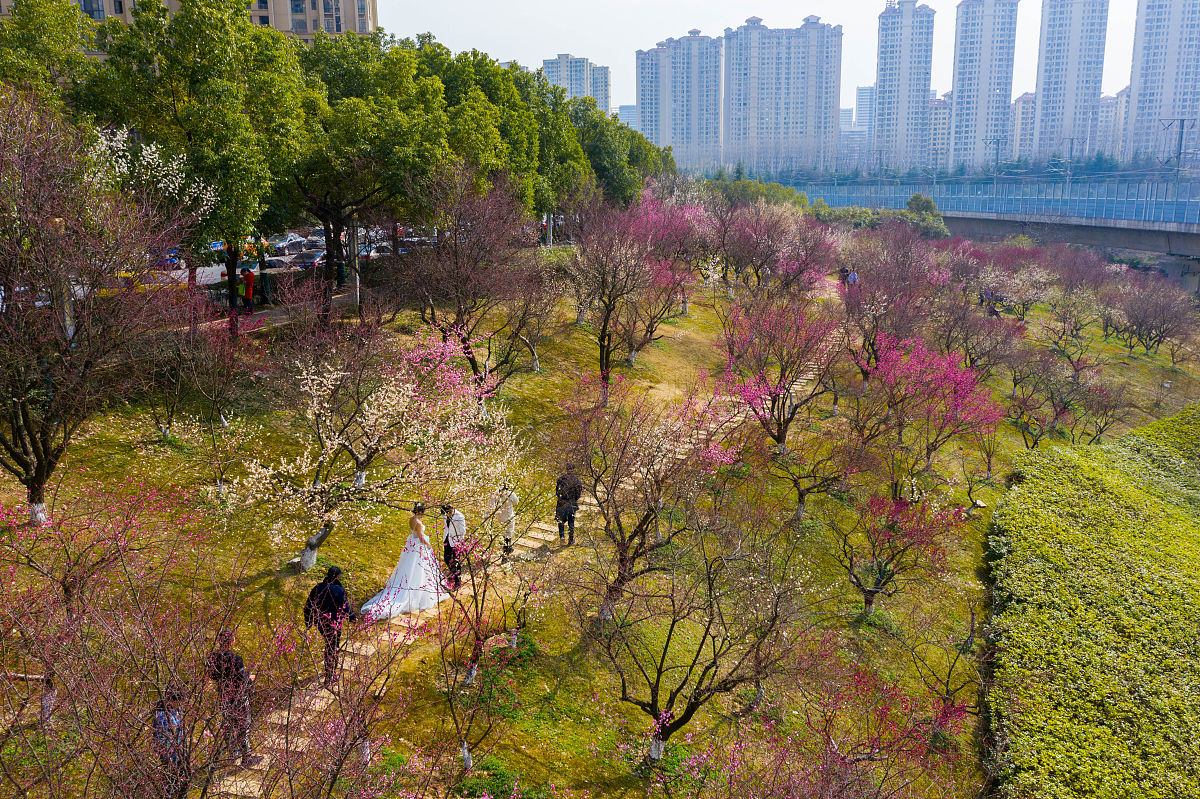 合肥市媒体热线电话：倾听民声，服务市民