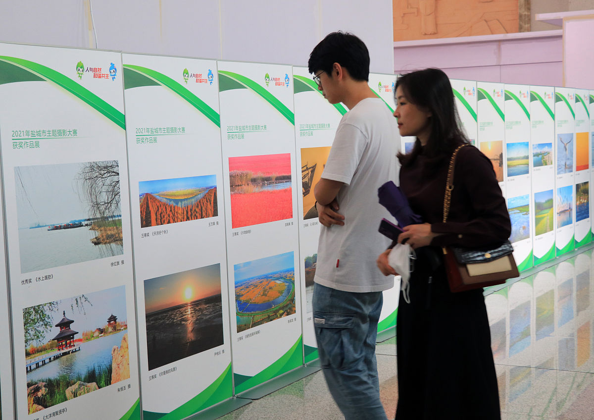 与自然对话：探索人与自然关系和人生意义