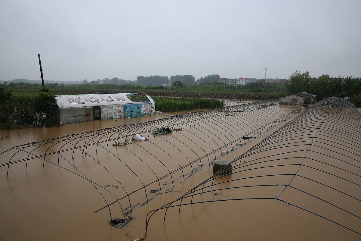 2021年8月13日,湖北省襄阳市,受强降雨影响,卧龙镇许多农田受灾被淹.