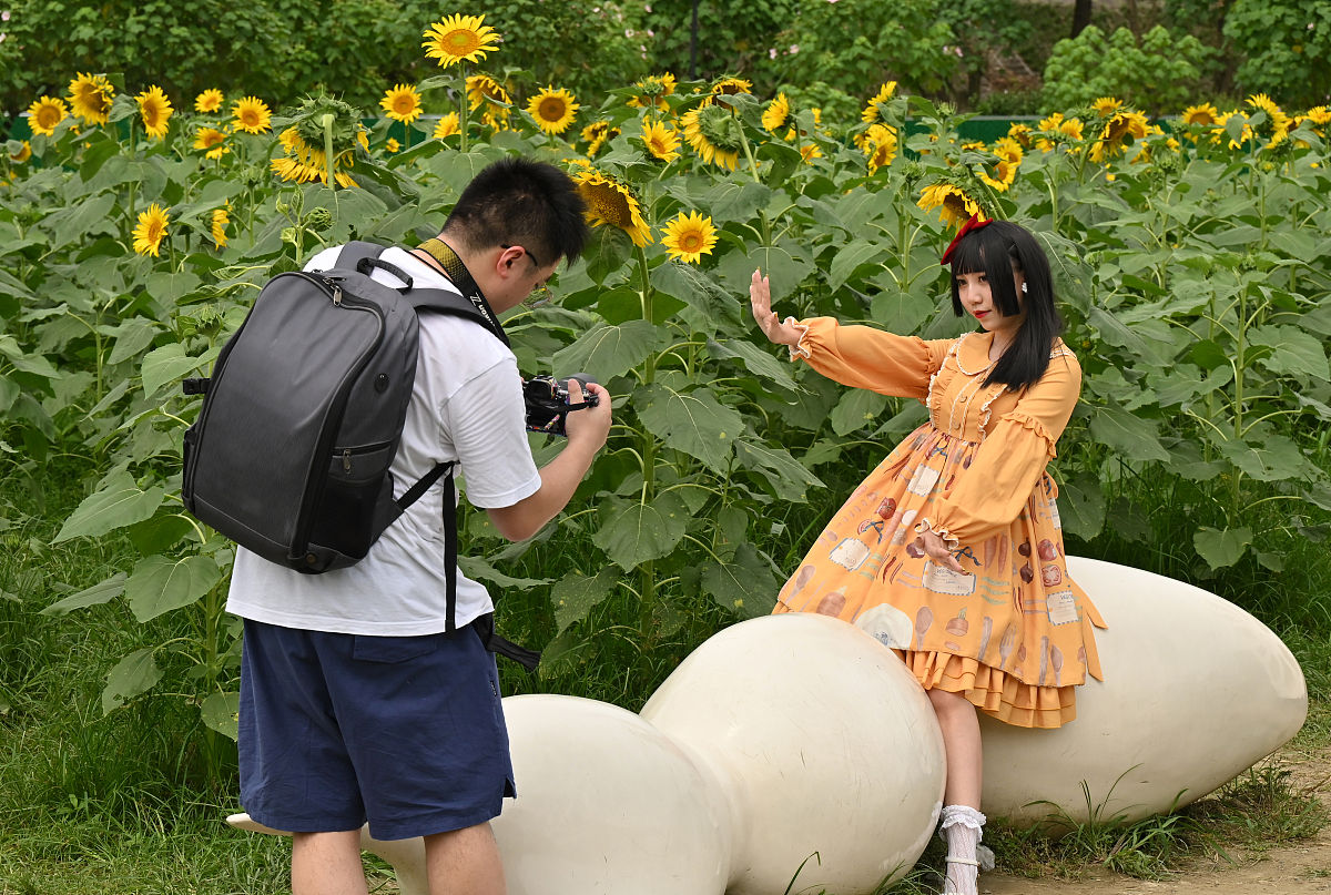 四川城市技师学院开设专业用发