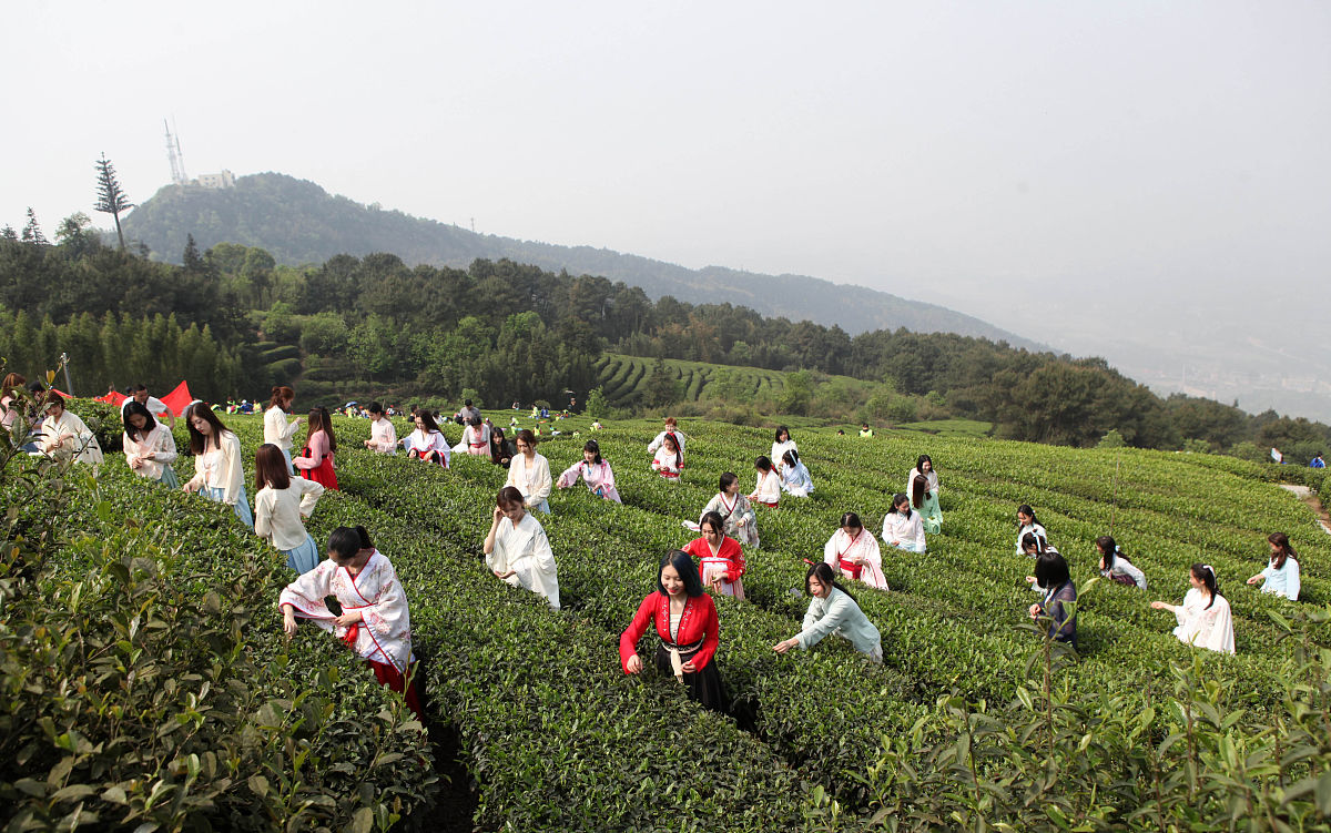 重庆文理学院排名情况：一本大学的综合实力