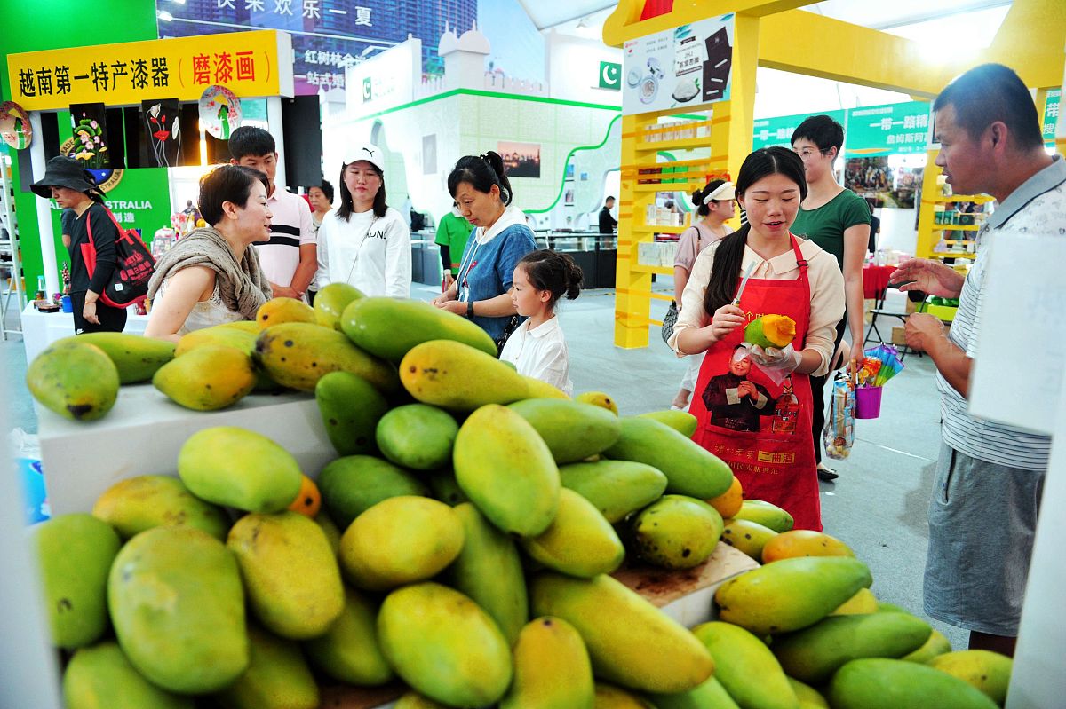 百色芒果田东芒果文化节旅游开发现状及优化建议