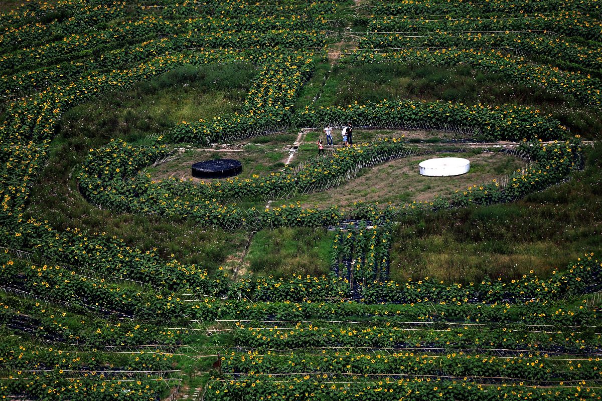 中国十大未解之谜