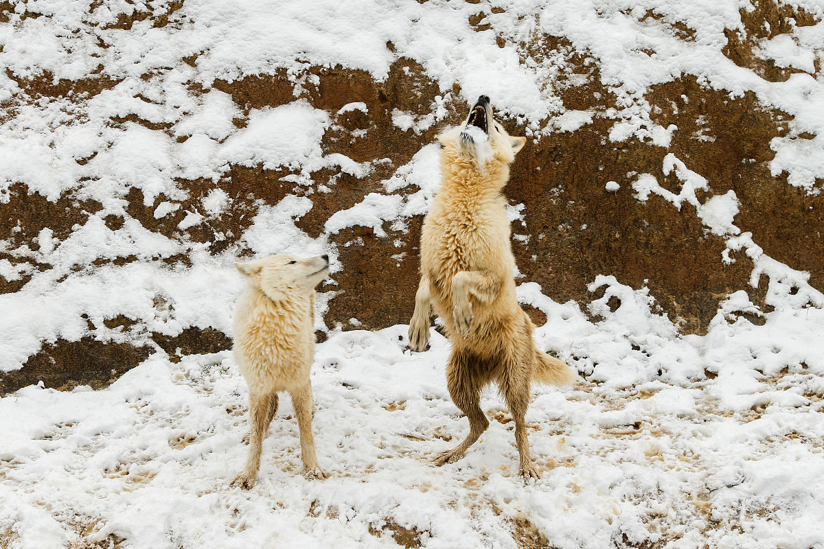 将下列句子换个说法：在时效性和评估范围上具有很大优势