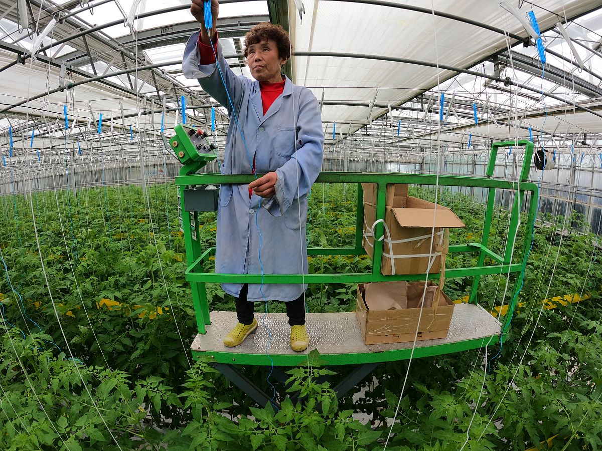 山东职业学院物流管理专业如何好学吗