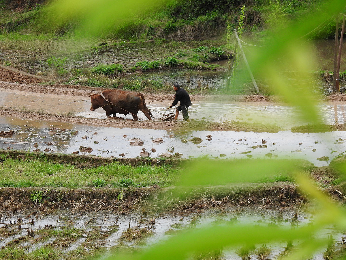 达州3+2大专有哪些学校 要多少分