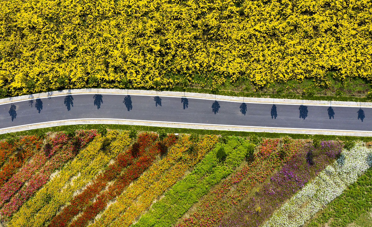 东台职业教育中心2020年招生简章