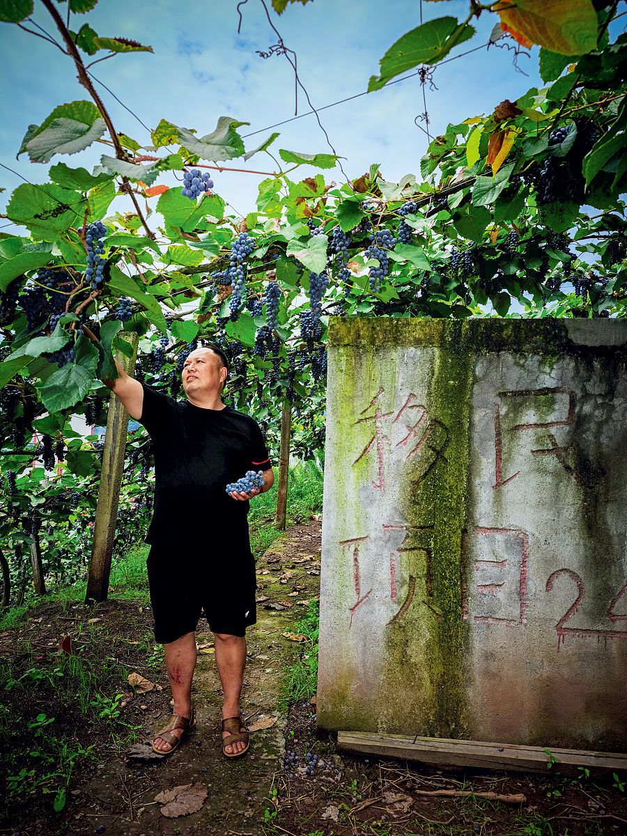 宜宾市职业技术学校招生简章 - 2020年招生计划及专业介绍