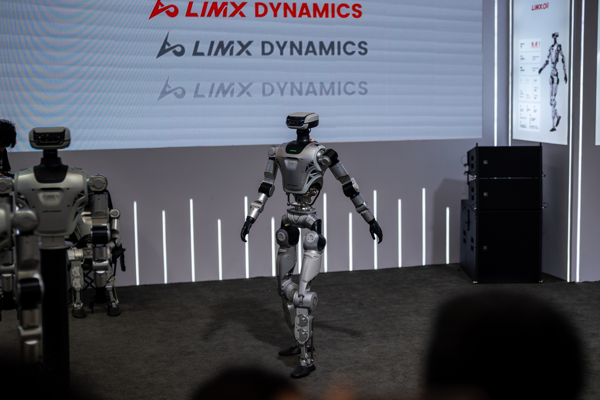 Vision-Based Robotic Arm Interface for Upper Limb Impairments: Performance Evaluation