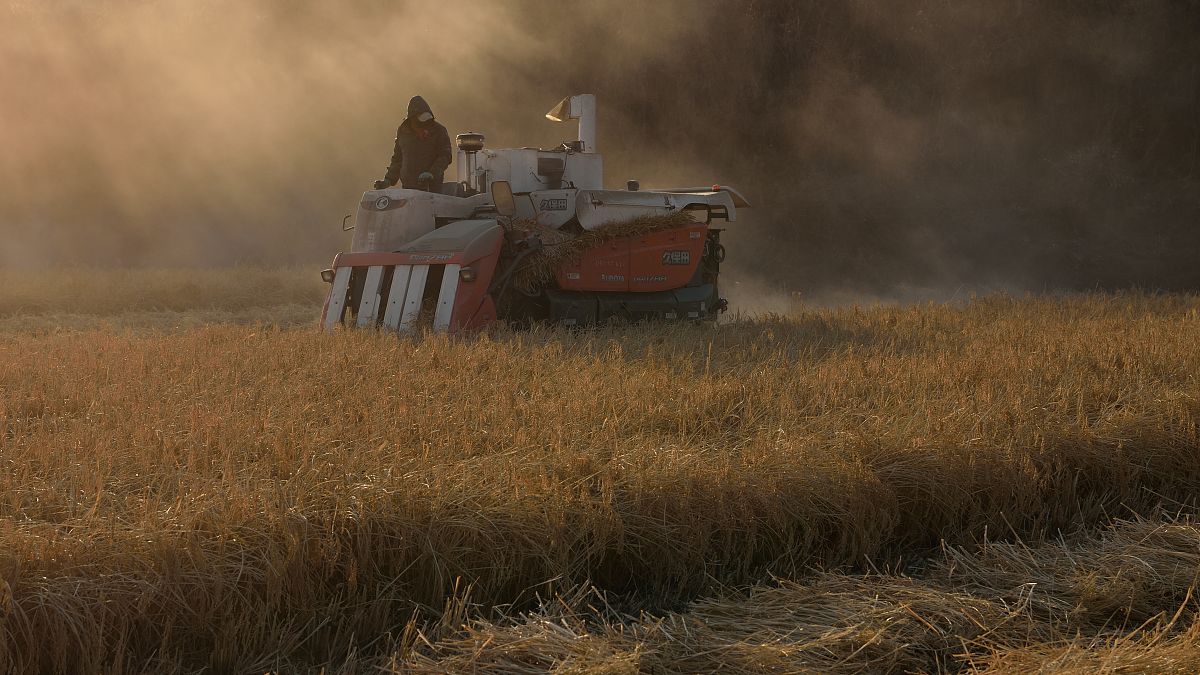 吉林工业职业技术学院单招有高铁乘务专业吗