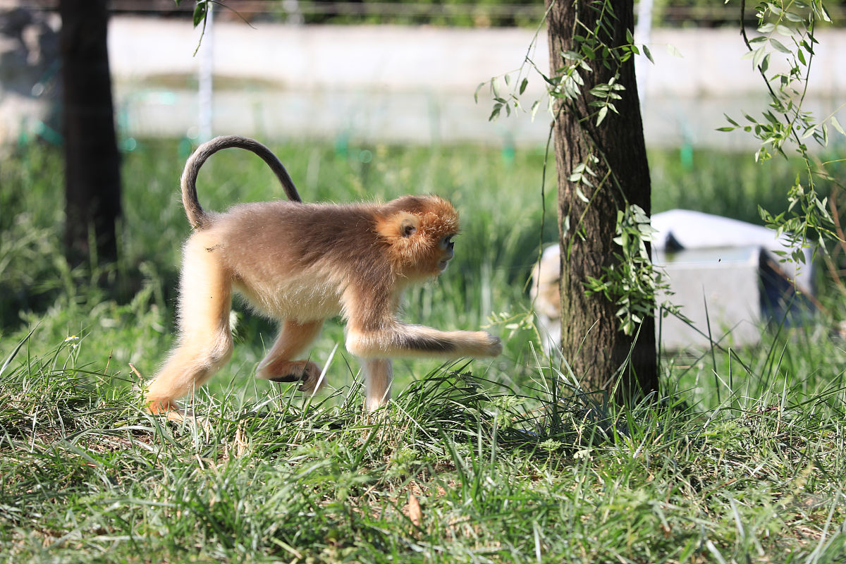 云南畜牧养殖学校五年制招生专业报名 | 培养畜牧业未来人才