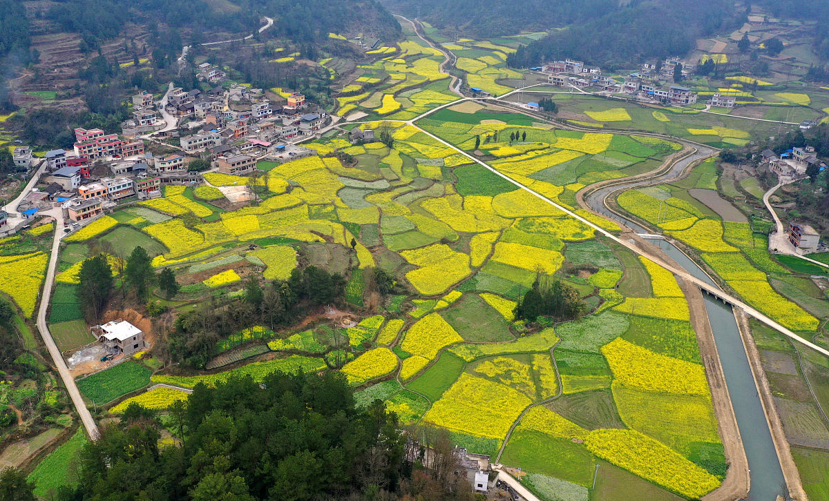 贵州林业学校2022年招生简章 - 报名指南与专业介绍