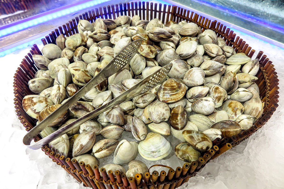 蚬子当天不吃怎么储存