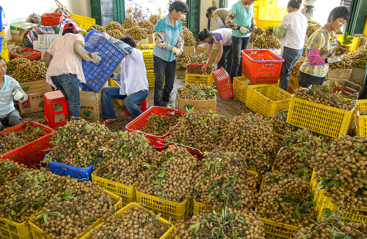 中泰农产品合作模式的案例