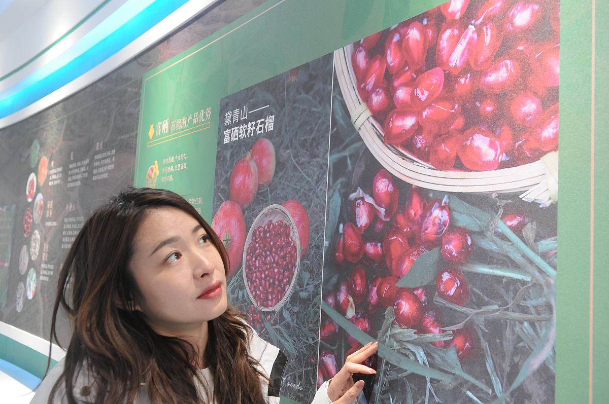 湖北科技学院医学部3+2五年制大专分数线 - 最新变化及报考指南