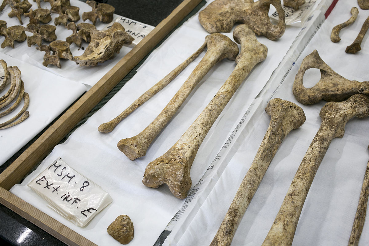 当地时间2021年3月15日,西班牙贝拉特拉,人类学家研究在mas de santa 