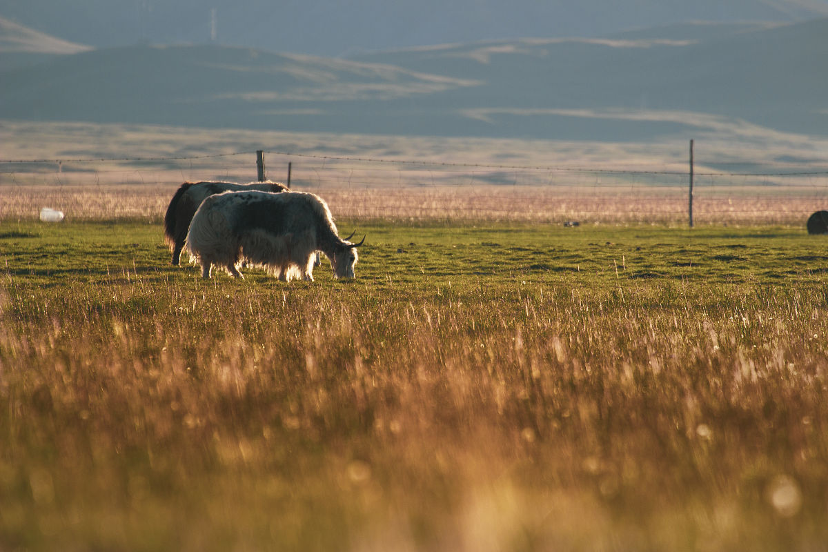 关于在青海浩宇文化旅游产业开发有限公司置业顾问岗位的实习报告具体写写实习中期的工作内容需要有案例故事穿插说明