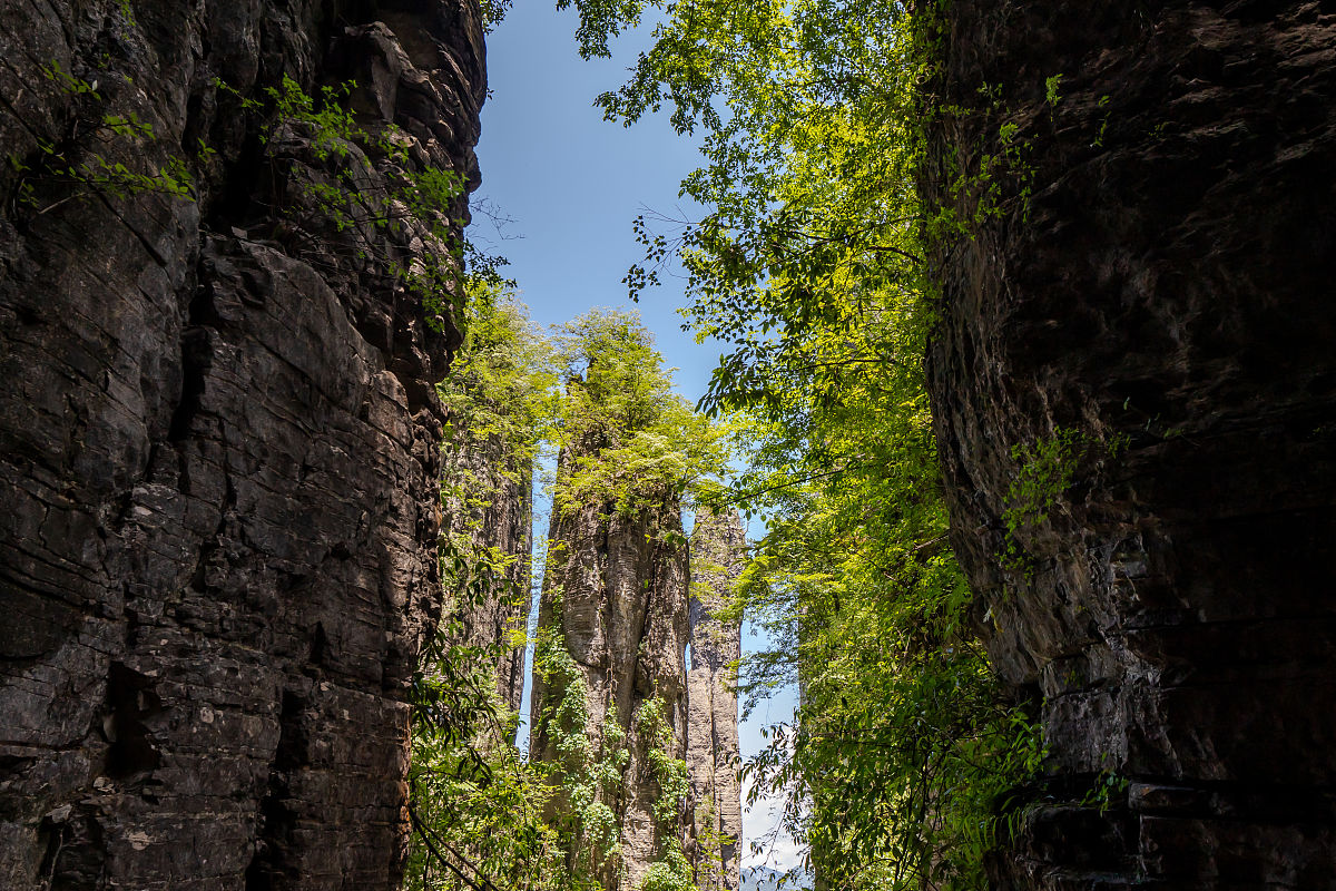根据中国命理学如果年月日柱代表一个人的生命3种元素年柱代表命年柱刑是什么意思
