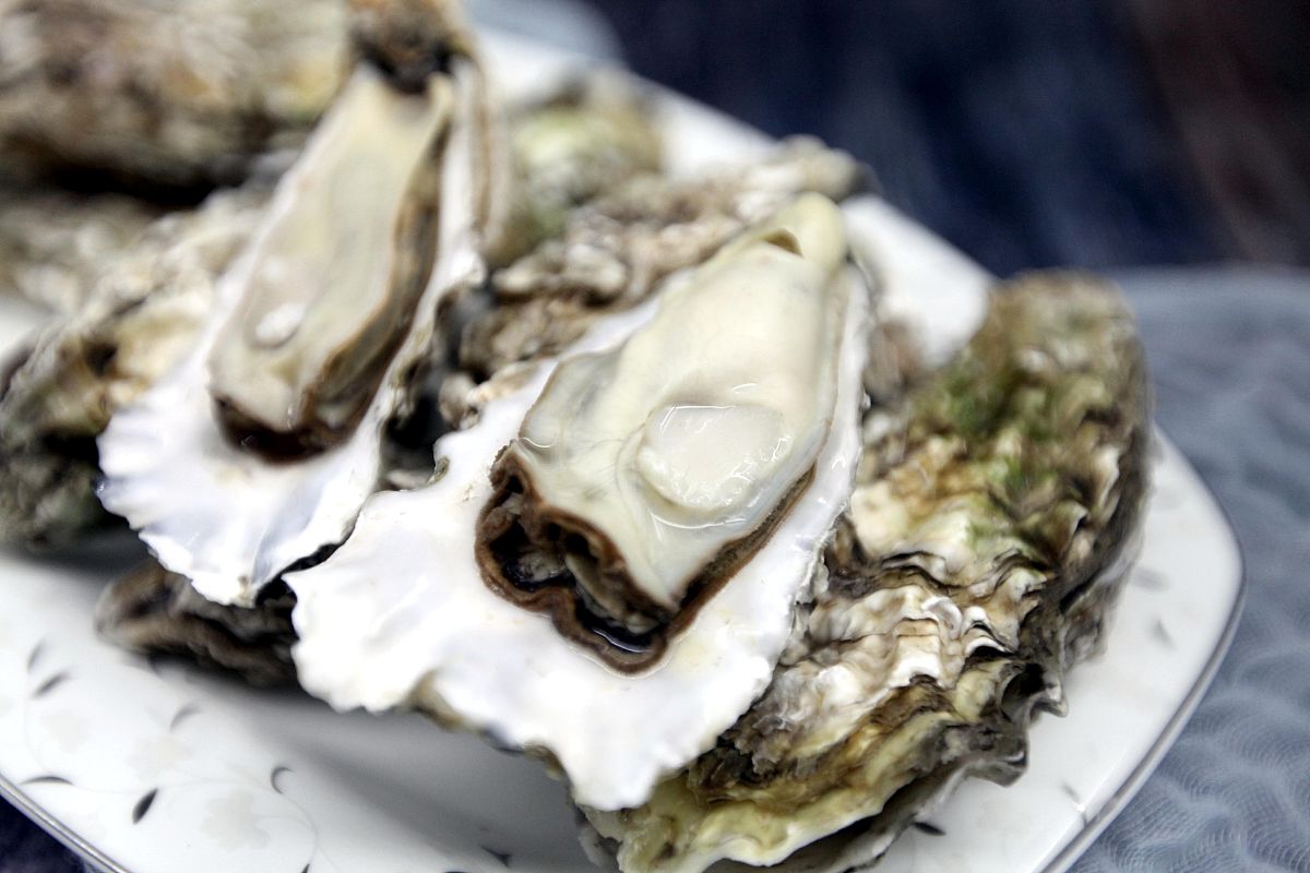 求助！公司名是？🥺 再次润湿牡蛎 😭