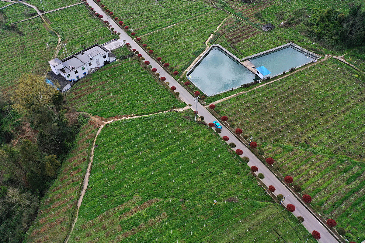 四川省江安县职业技术学校设施农业生产技术专业好不好发展前景怎样