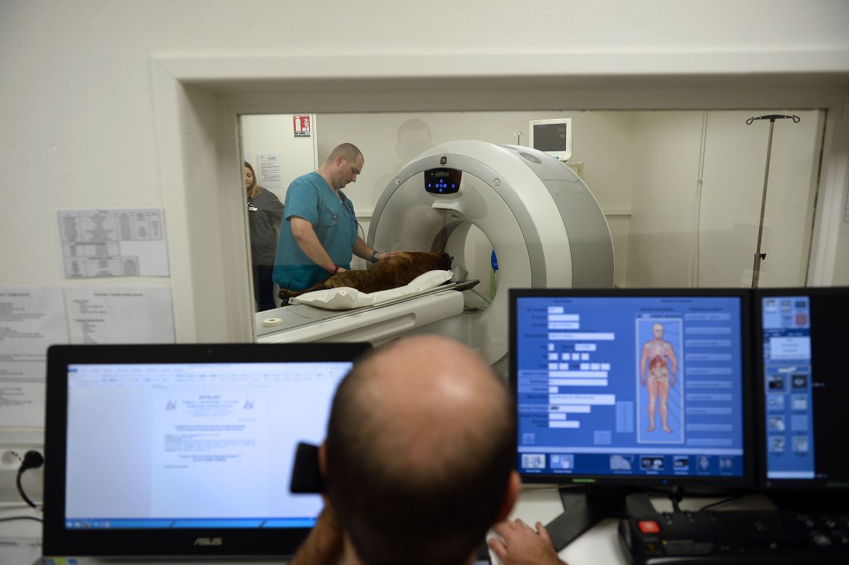 以下期刊投稿的具体要求：6 International Journal of Computer Assisted Radiology and Surgery SCI三区