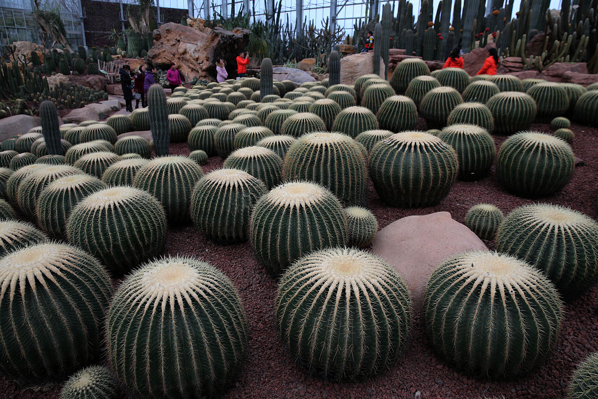 广西师范大学科学教育专业课程内容：必修课程、教学实践