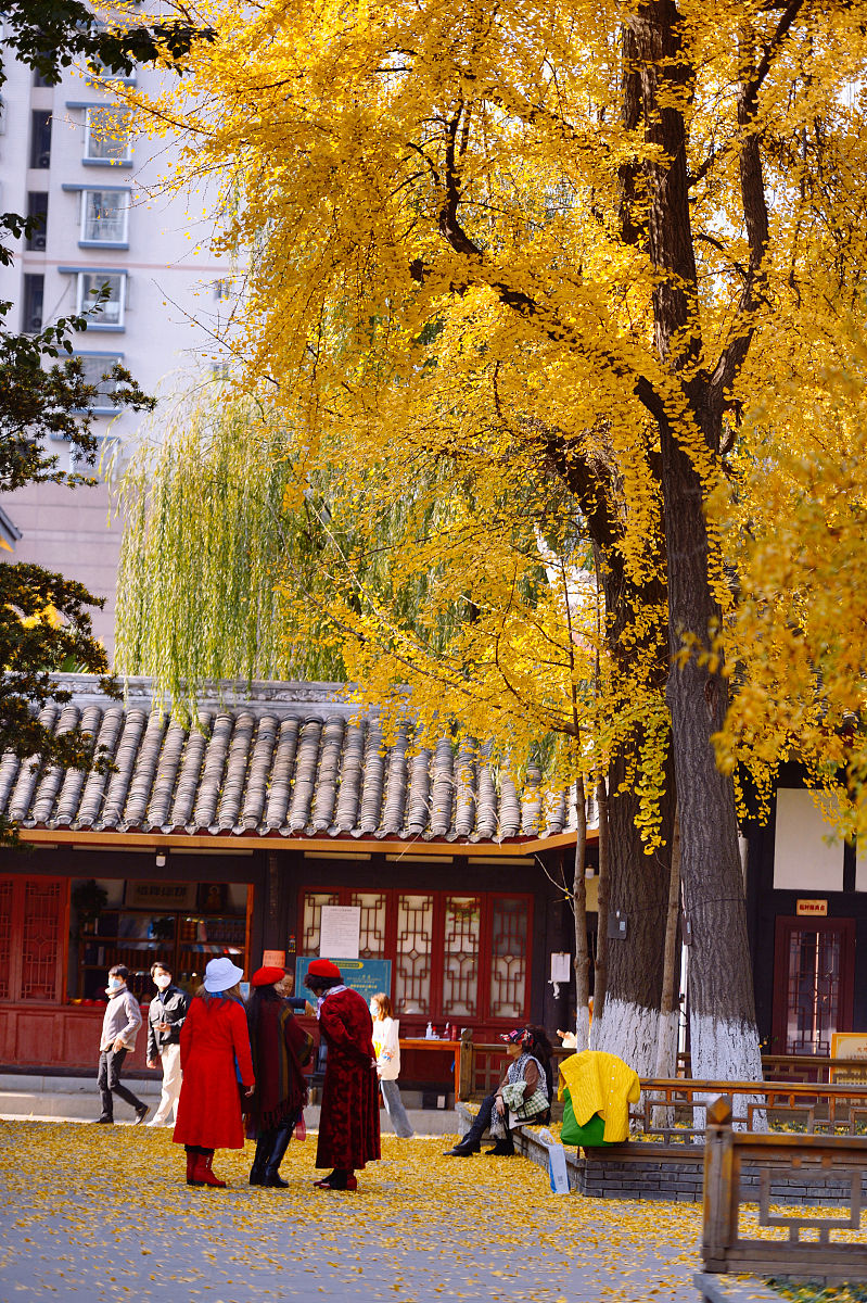 成都卫校大专招生专业及就业前景：2021年最新信息