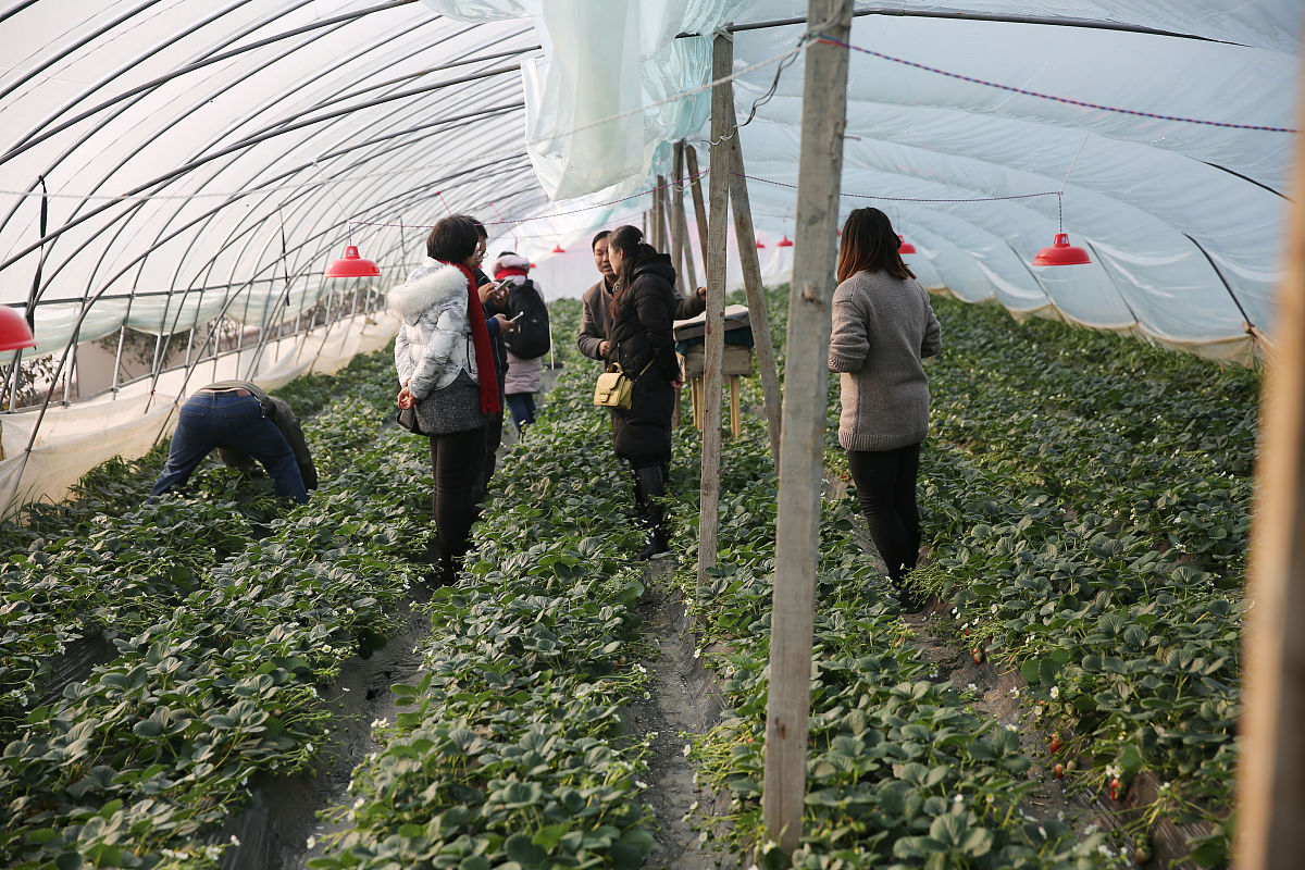 贵州职校药用植物栽培与加工专业就业前景分析：好就业吗？