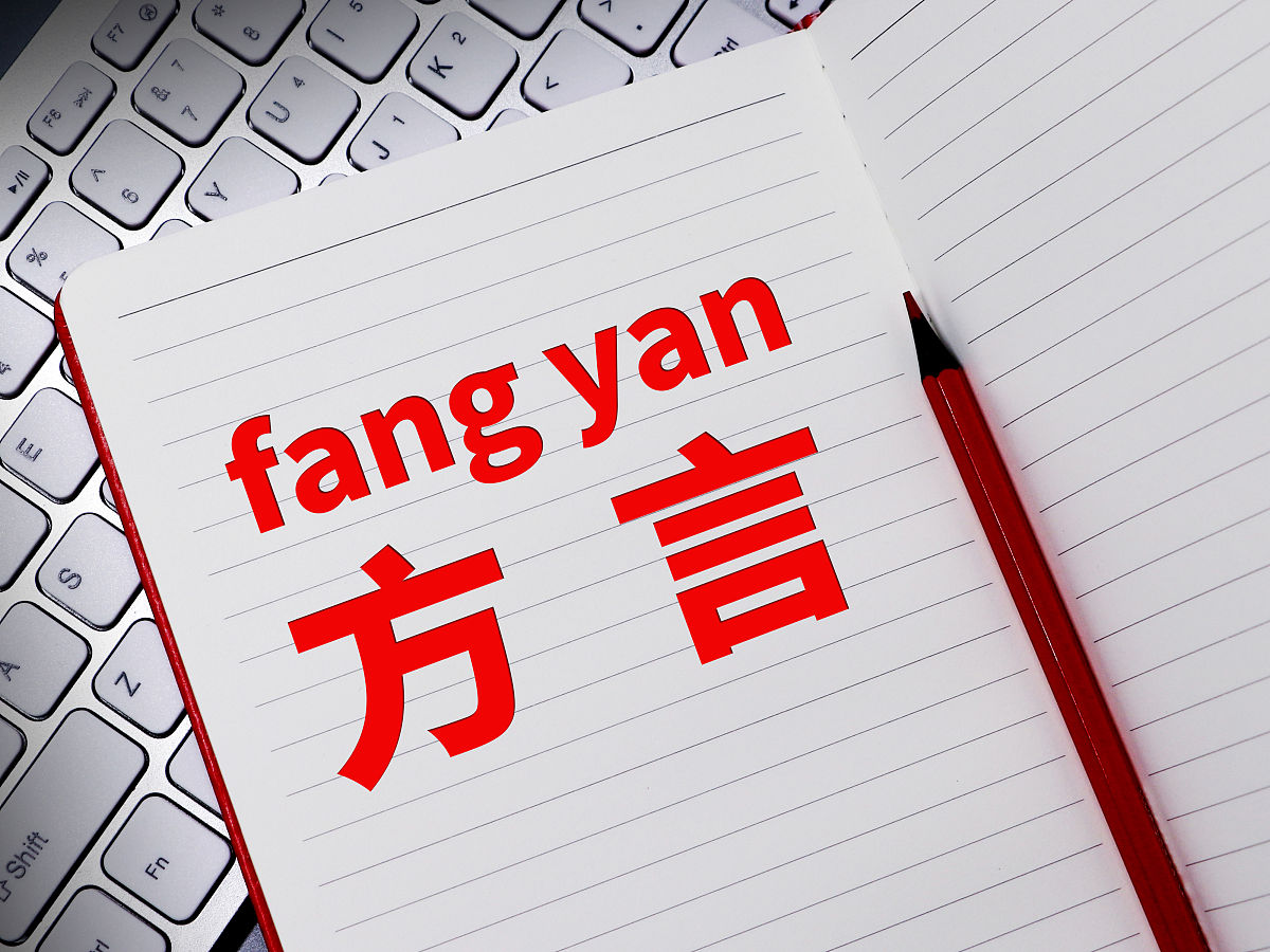 总结一下下面的内容：a东北方言常用于形容人或事物愚笨口语中拥有独特的语意。 b陕西方言常用于形容一个人分不清场合掂不来轻重说话不过大脑做事不想后果。如二怂二锤子。例那个人二得很！ 或形容自己听到惊人且不能理解的言论时的心理状况如我二了。 c天津方言贬意词。常用用于形容人愚笨弱智的意思。现在多用于彼此取笑的意思有很大的玩笑成分。