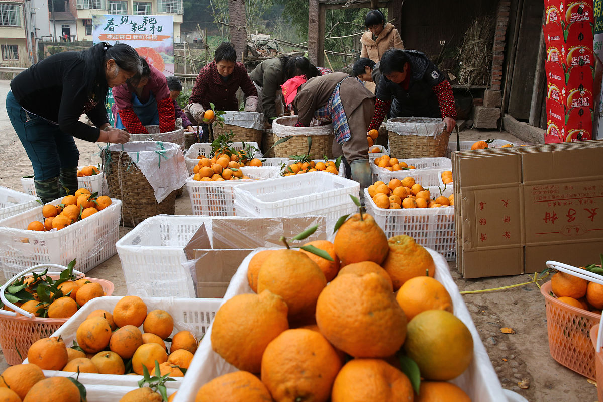 四川内江市电力施工总承包二级转让：公司推荐与注意事项