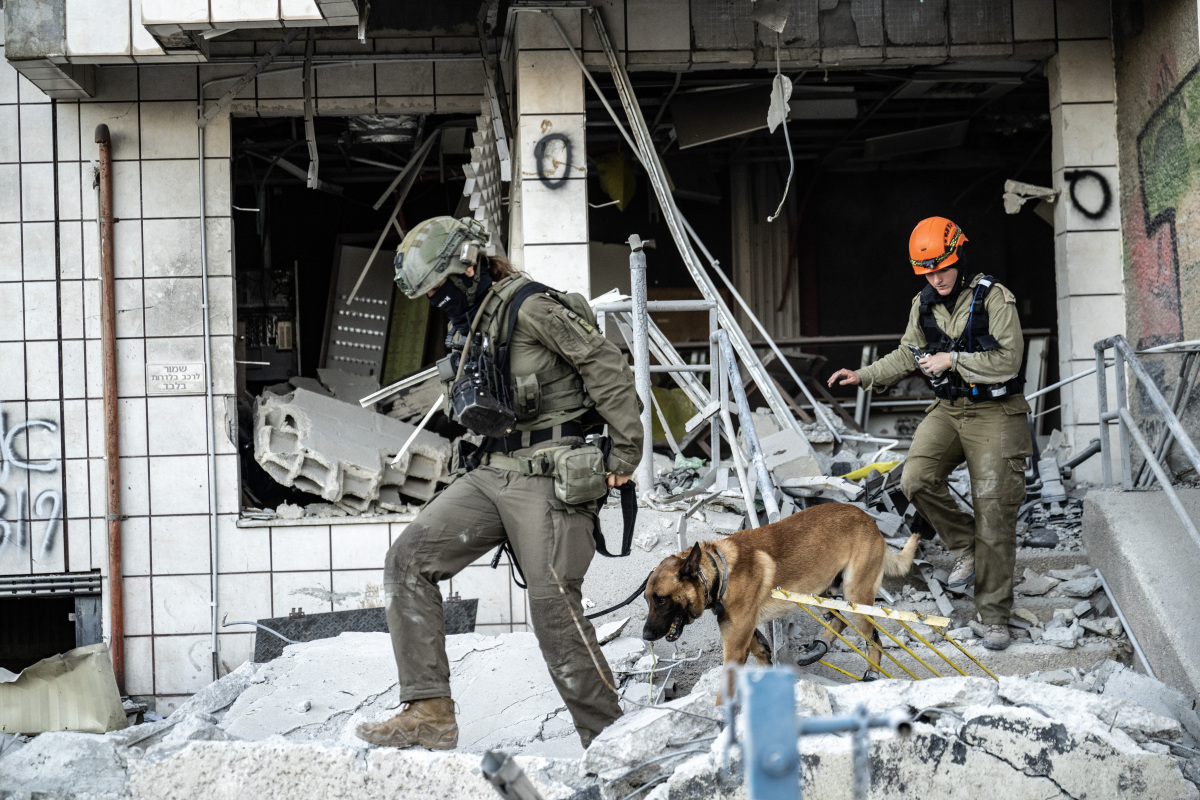 废墟搜救犬活动条件：道路、攀爬、钻探？