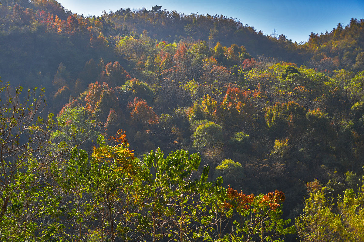 七台河职业学院煤田地质与勘查技术专业怎么样