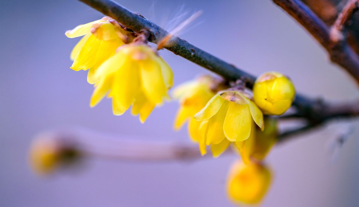 邯郸工贸学校2022年招生简章 - 报考指南及专业解读