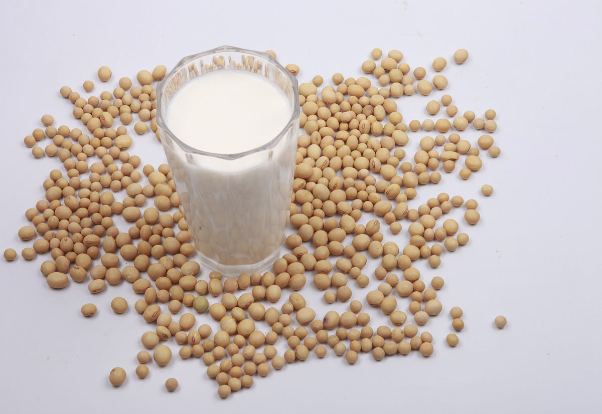 五谷豆浆的做法_五谷豆浆怎么做 - 营养美味，健康之选