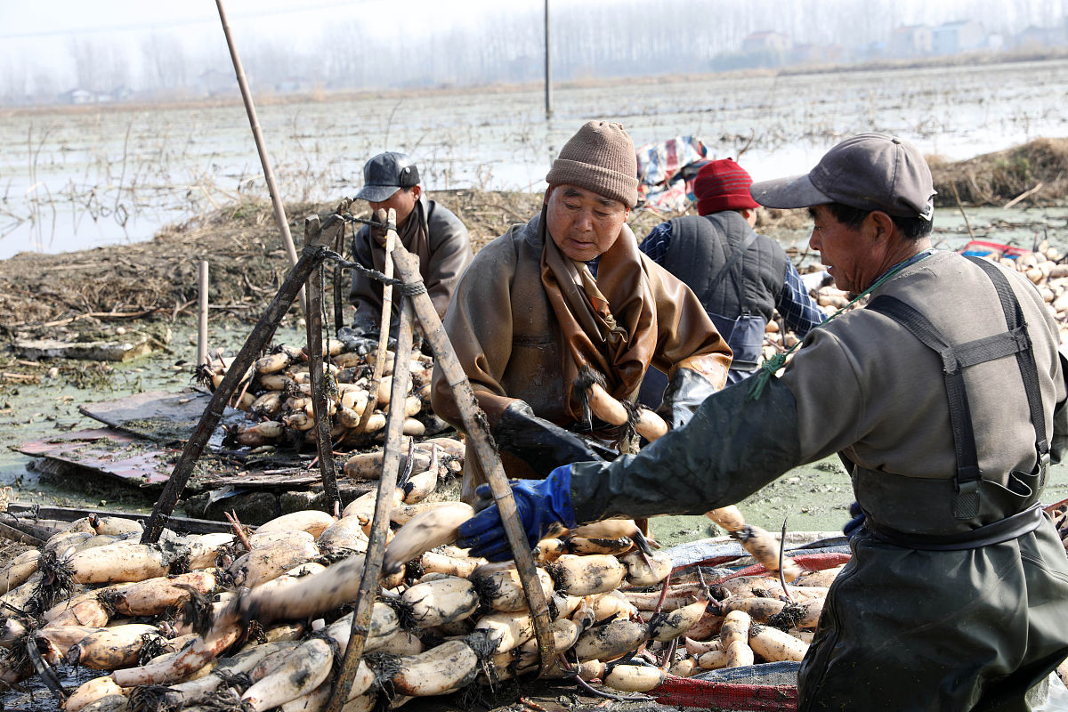 2022年江苏电子信息职业学院招生简章