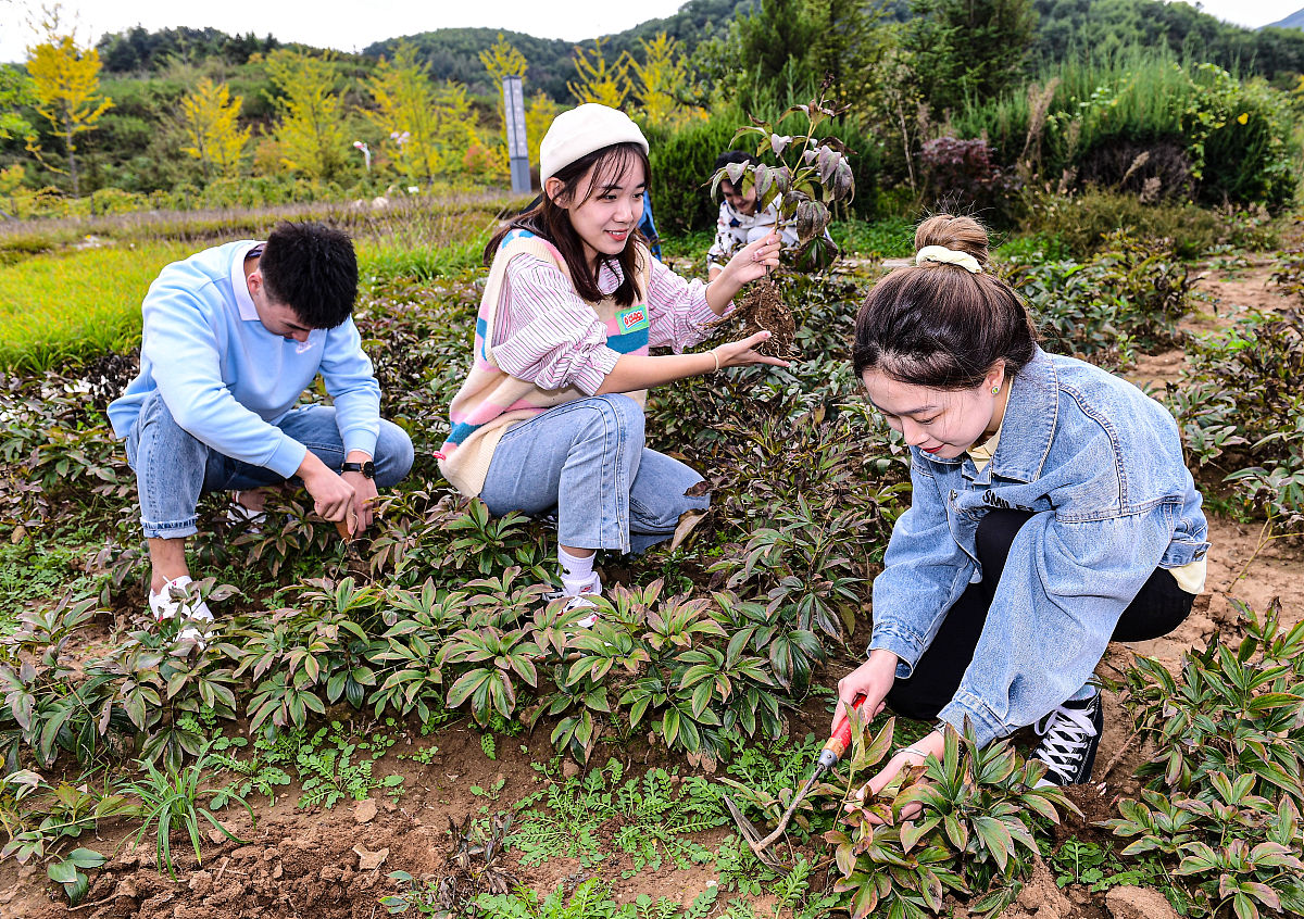 中草药栽培与鉴定专业的教学实践和教学课程有