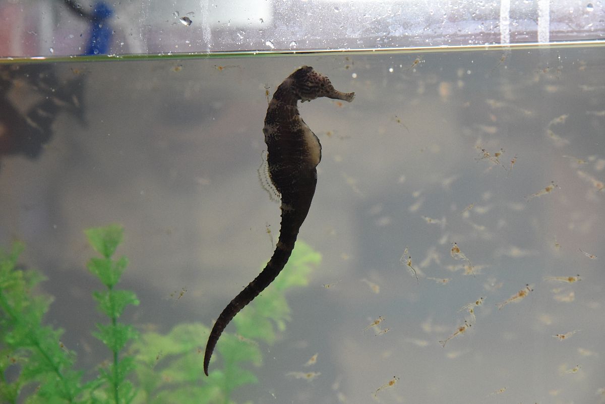 初中生物学科习题研制理论与实践研究的摘要