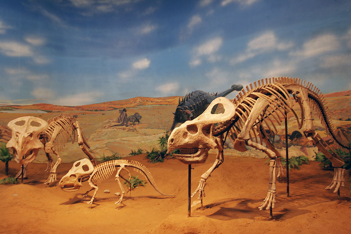 200万年前的地球什么样子