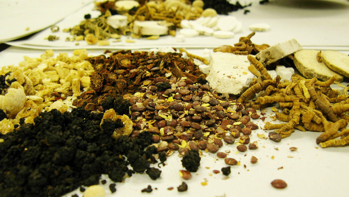 江西医药学校2021年开设有哪些专业