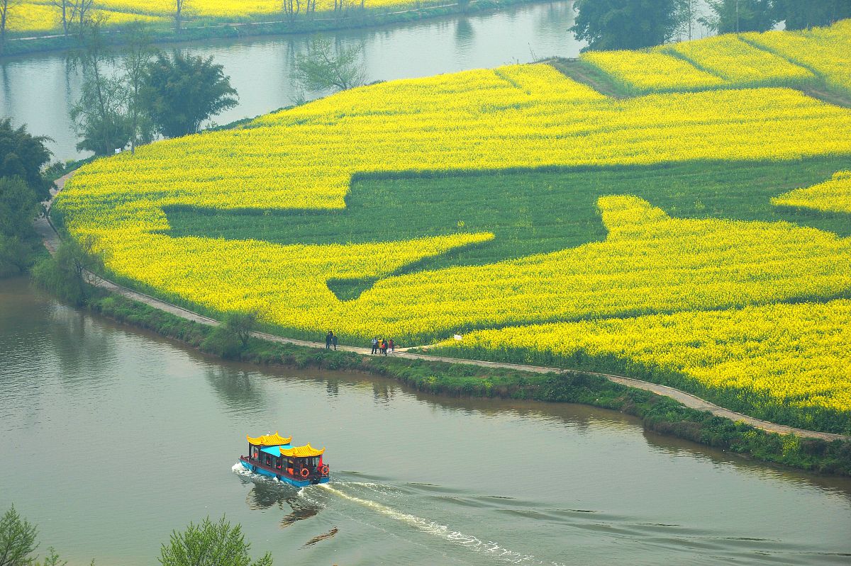 重庆自驾赏油菜花攻略：潼南花海公园路线、景点推荐