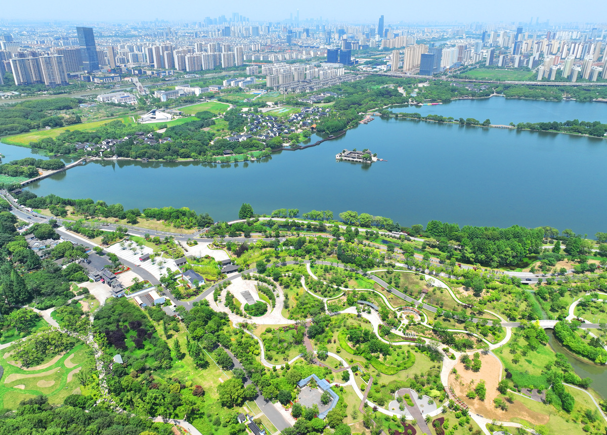如何看待大规模城市公园建设？