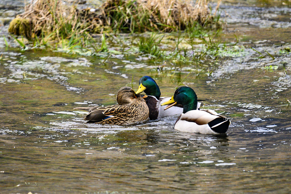 海南医学院环境科学专业怎么样
