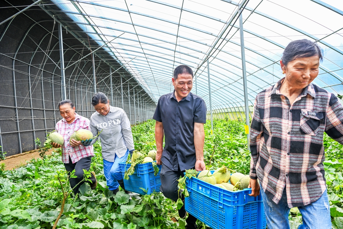 科技助农情况调研后简述本人在调研过程中所做工作及心得 300字