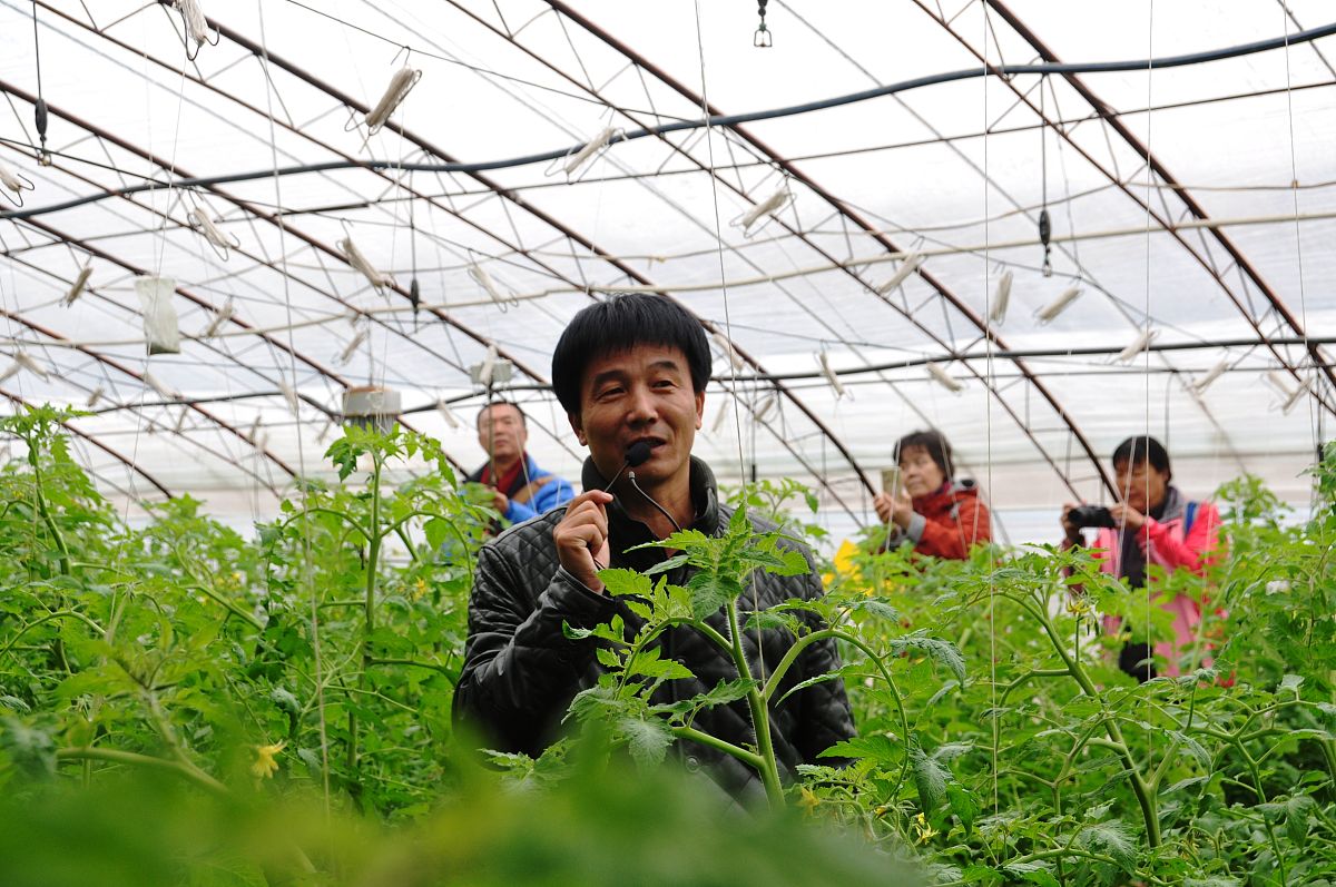 宁夏中专现代农艺技术专业就业前景广阔，毕业生可从事农业现代化规划、管理、评估等工作