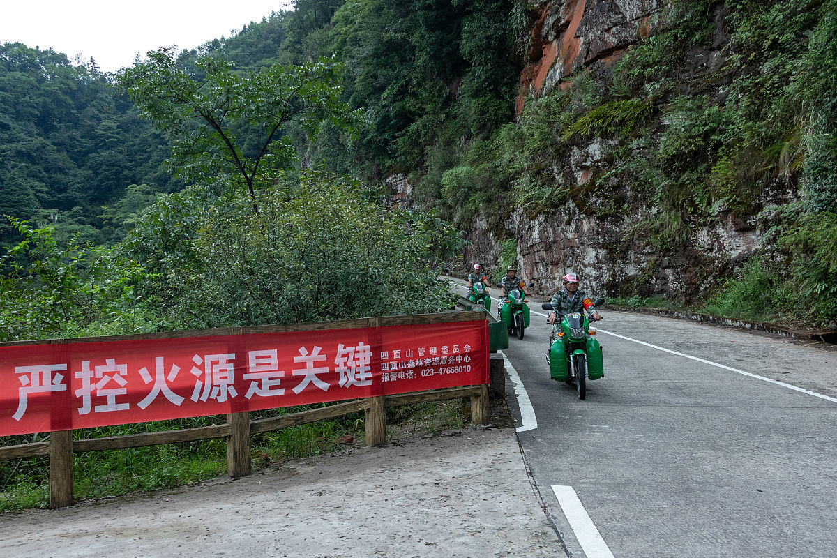 重庆市森林资源保护现状及对策建议