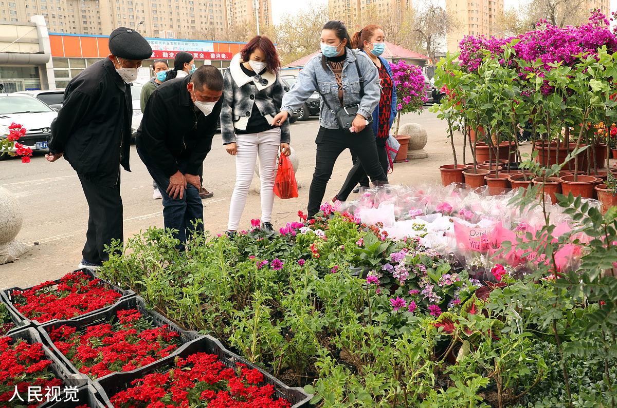 西安职业技术学院园艺技术专业：未来发展方向与就业前景