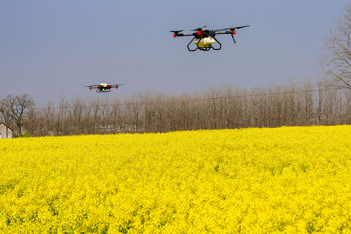 合肥中专几年毕业？2022年合肥中专毕业指南