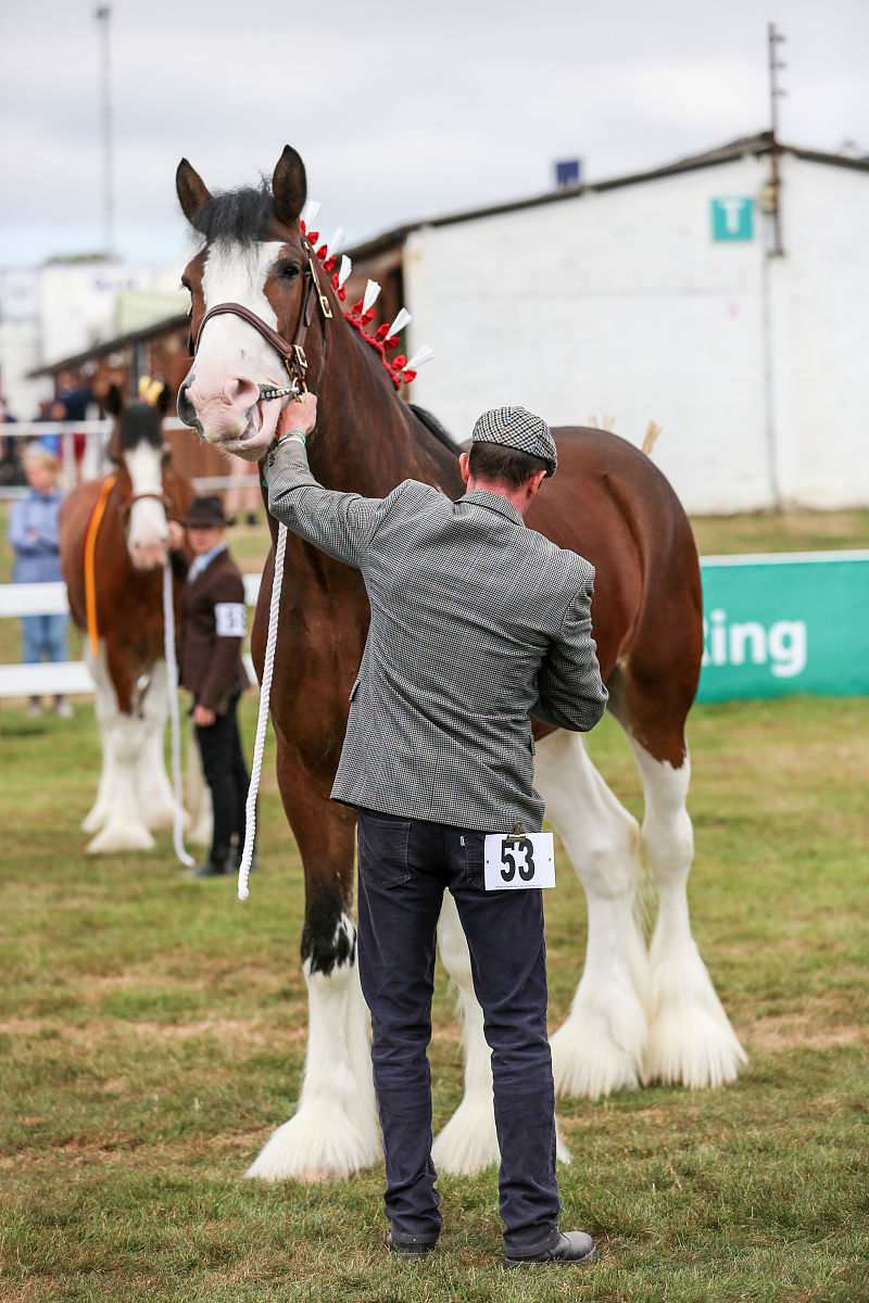 兰考三农职业学院专业有哪些？专业介绍
