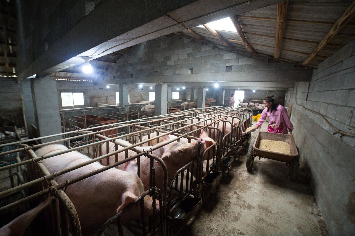 贵州省建筑材料工业学校2019年招生简章